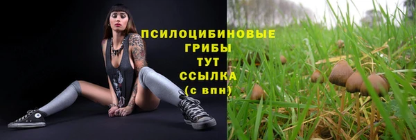 эйфоретик Володарск