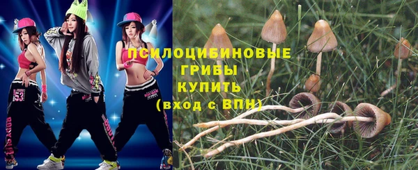 ECSTASY Волоколамск