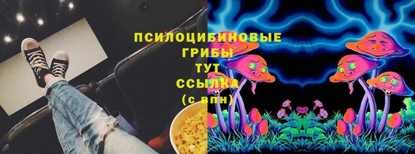 спиды Волосово