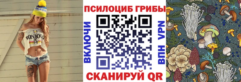 гидра зеркало  Вичуга  Галлюциногенные грибы Psilocybe 